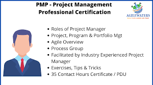 Project Management Professional