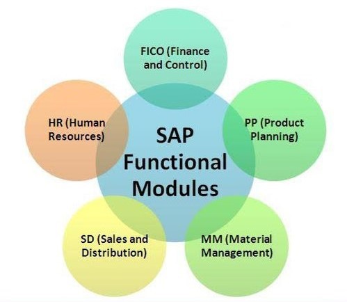 SAP functional
