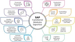 SAP functional
