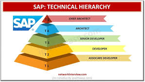 SAP Technical
